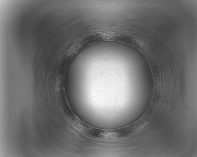 X0000058110221200510071921