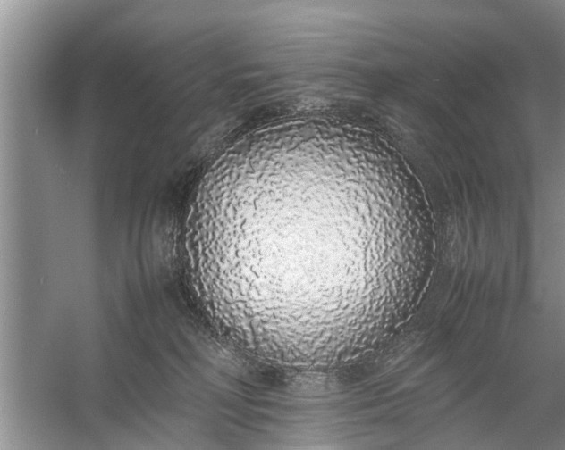 X0000058110230200510071921