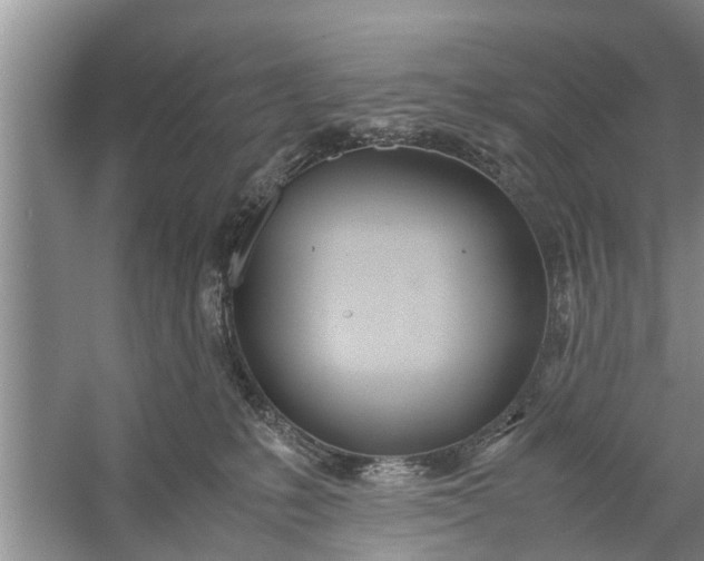 X0000058110231200510071921
