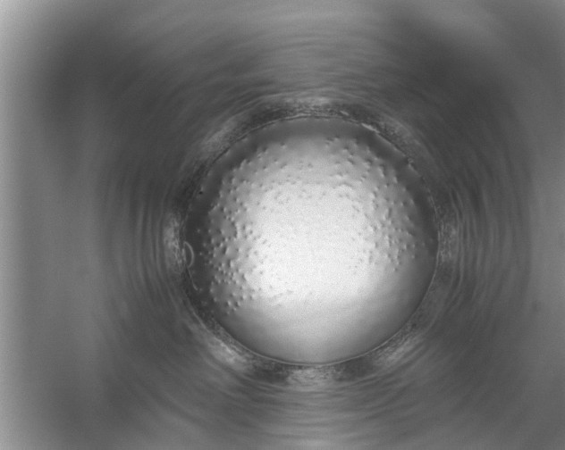 X0000058110238200510071921