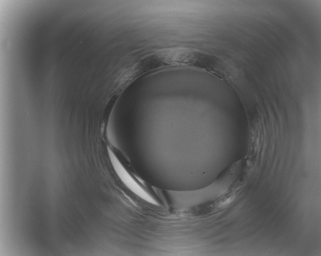 X0000058110239200510071921