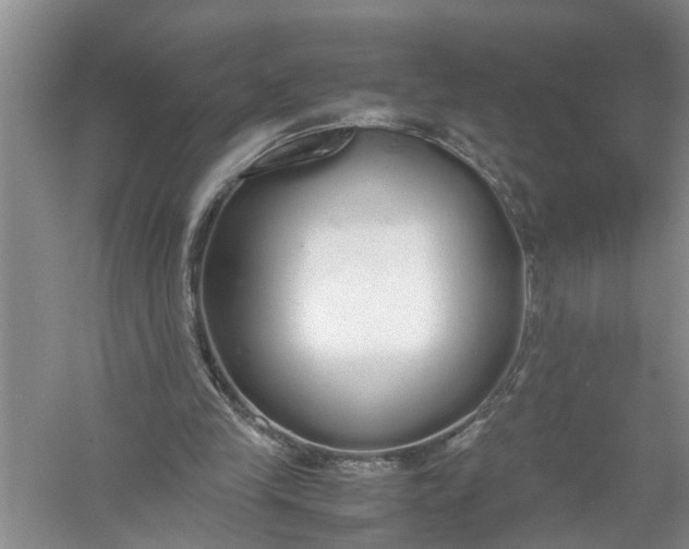 X0000058110245200510071920