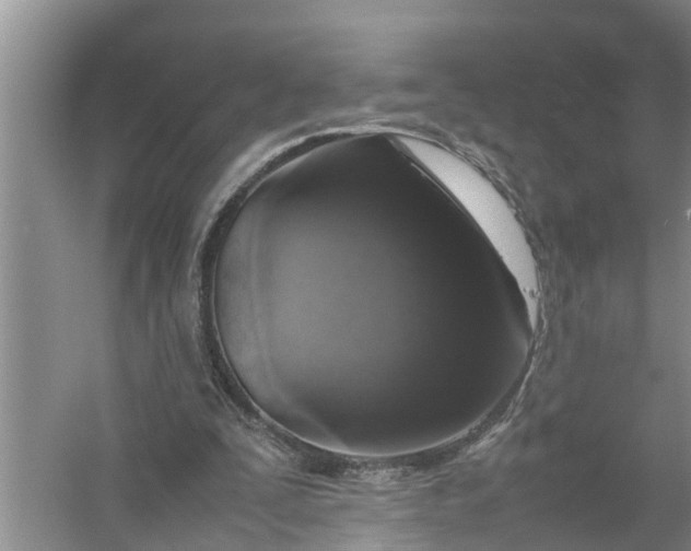 X0000058110295200510071920