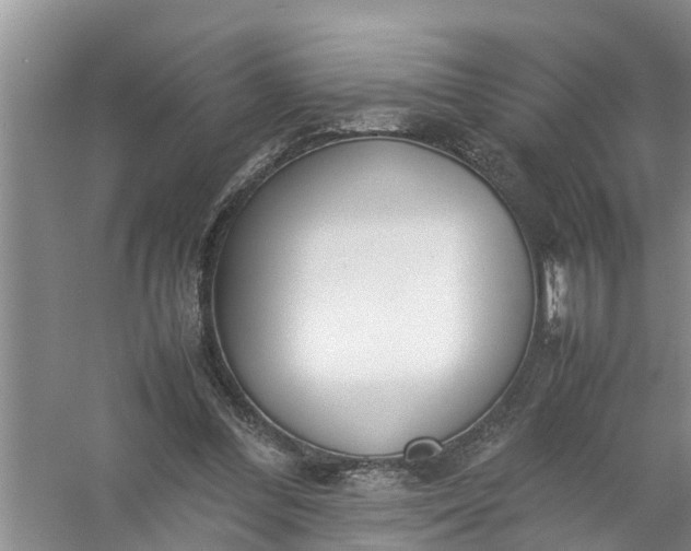 X0000058110300200510071920