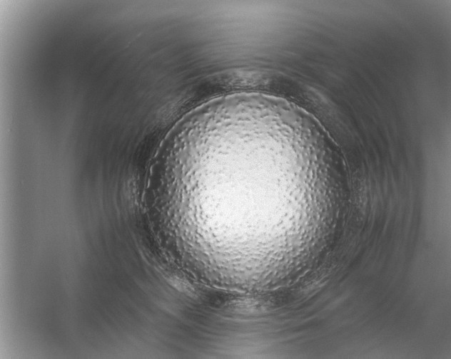 X0000058110326200510071920