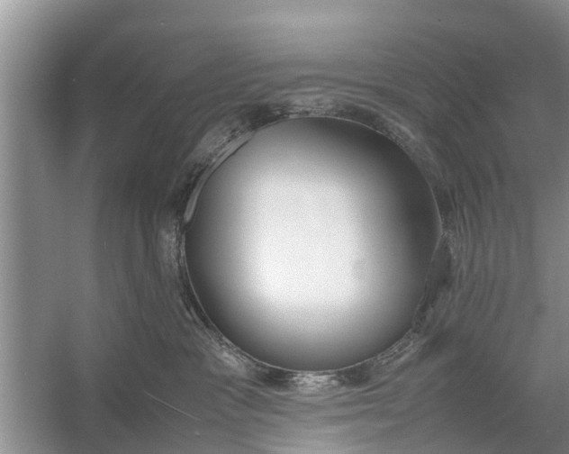 X0000058110333200510071919