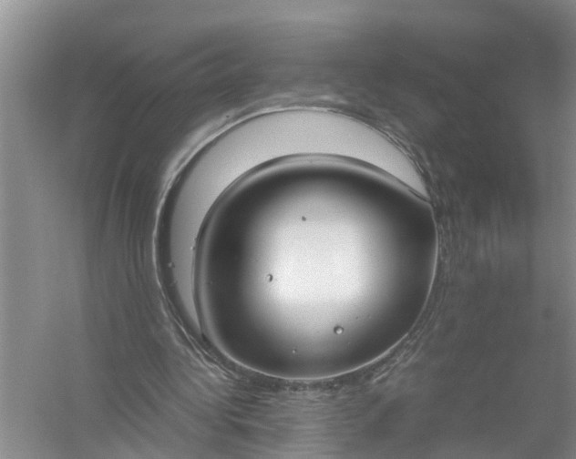X0000058110340200510071919