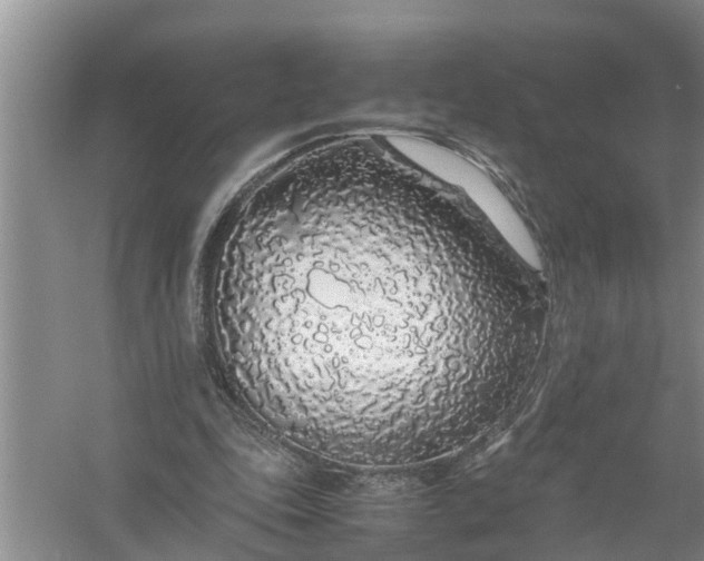 X0000058110343200510071919