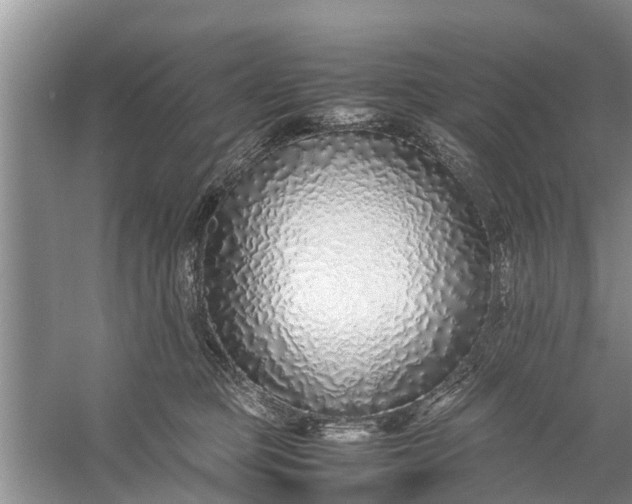 X0000058110373200510071919