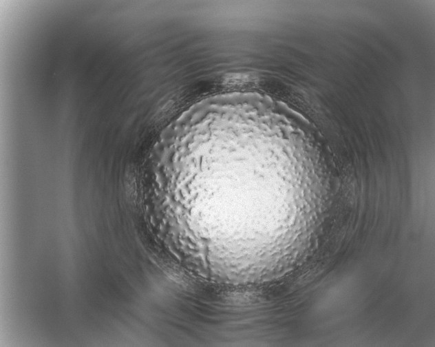 X0000058110375200510071919