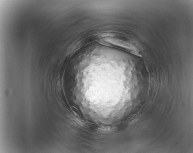 X0000058110381200510071919