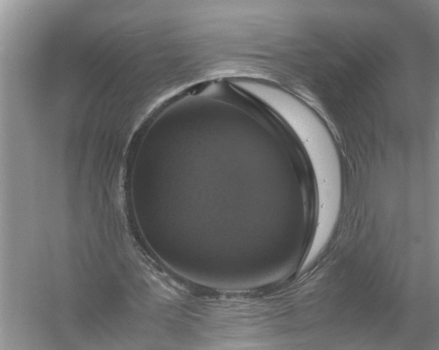 X0000058110387200510071919