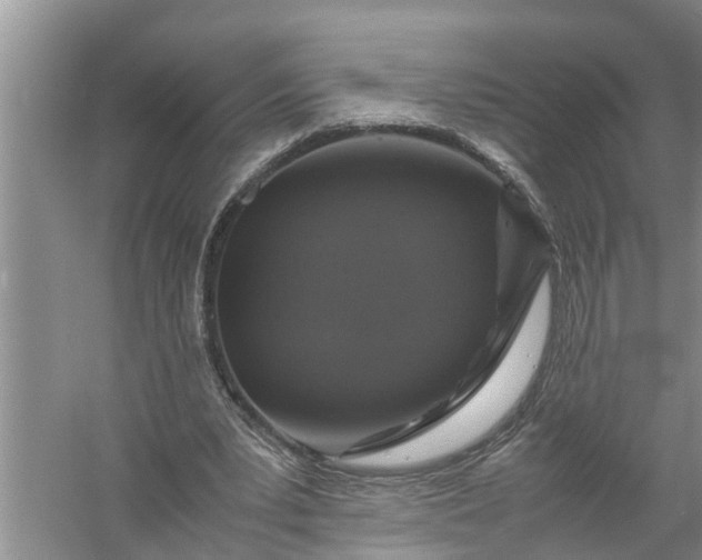 X0000058110391200510071918