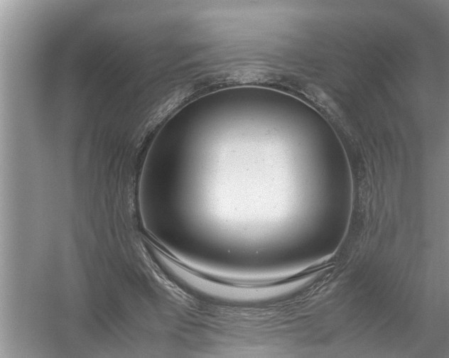 X0000058110393200510071918