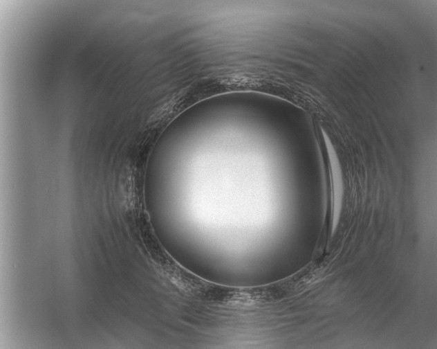 X0000058110416200510071918