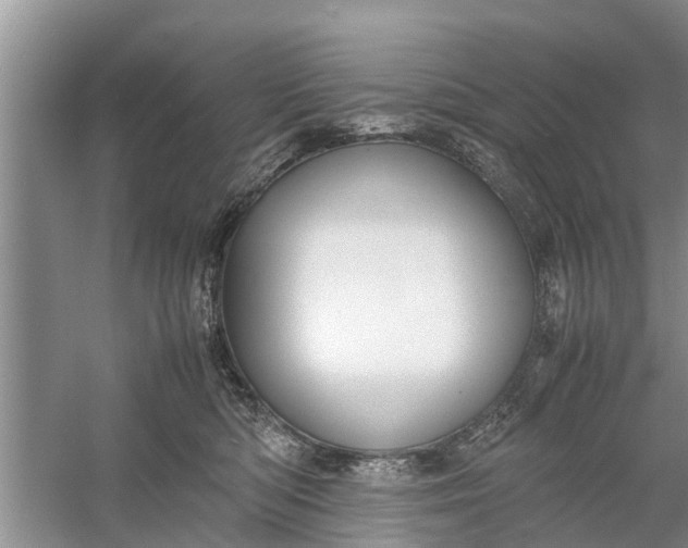 X0000058110422200510071918