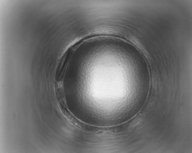 X0000058110434200510071917