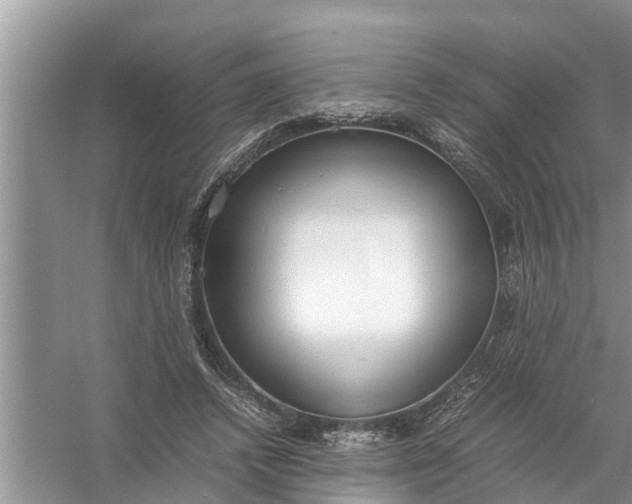 X0000058110448200510071917
