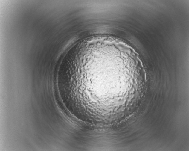 X0000058110482200510071917