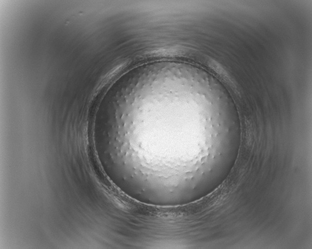 X0000058110486200510071917