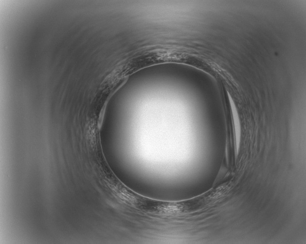 X0000058110513200510071916