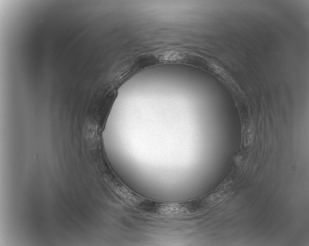 X0000058110521200510071916