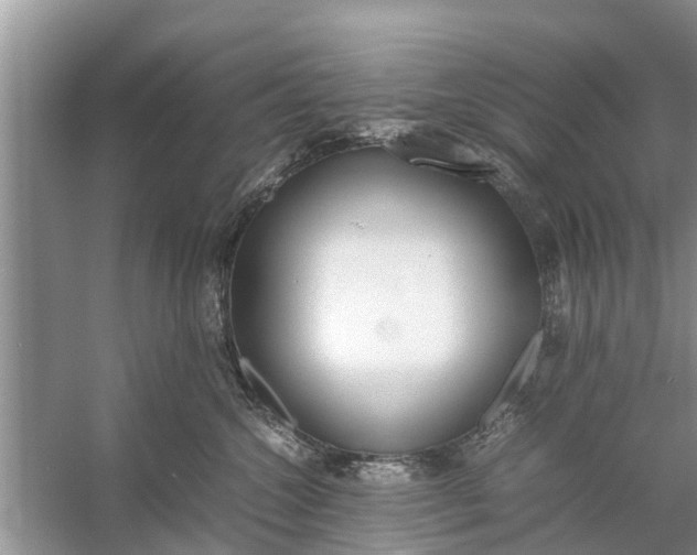 X0000058110572200510071916