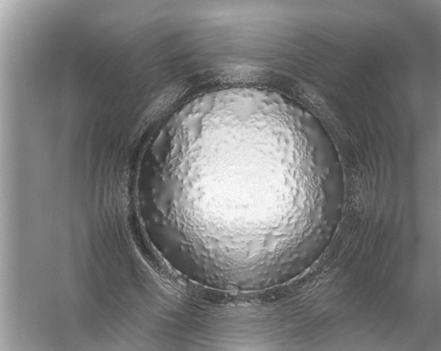 X0000058110586200510071915
