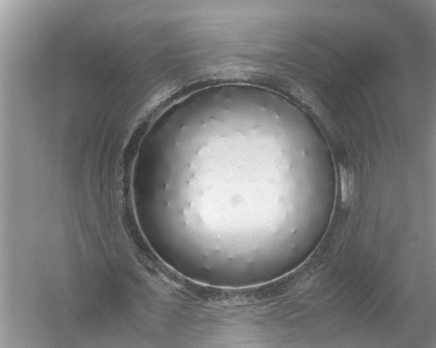 X0000058110675200510071914