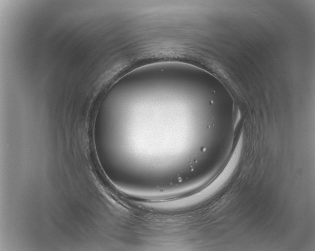 X0000058110677200510071914