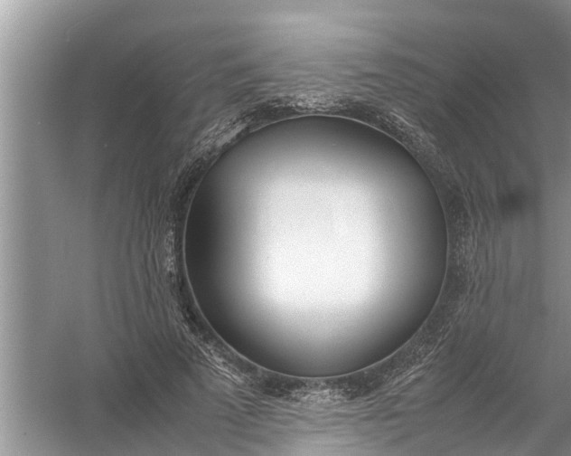 X0000058110689200510071913