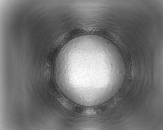 X0000058110710200510071913