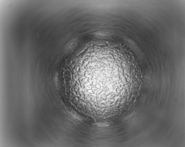 X0000058110765200510071913