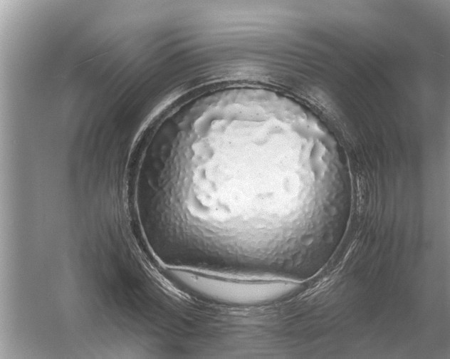 X0000058110780200510071912