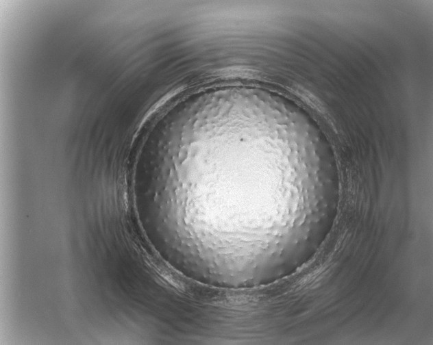 X0000058110782200510071912