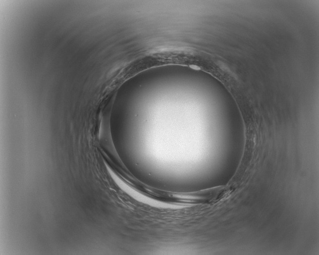 X0000058110965200510071909