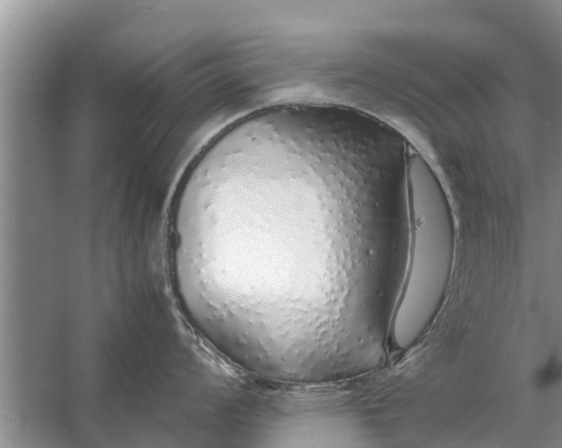 X0000058111008200510071908