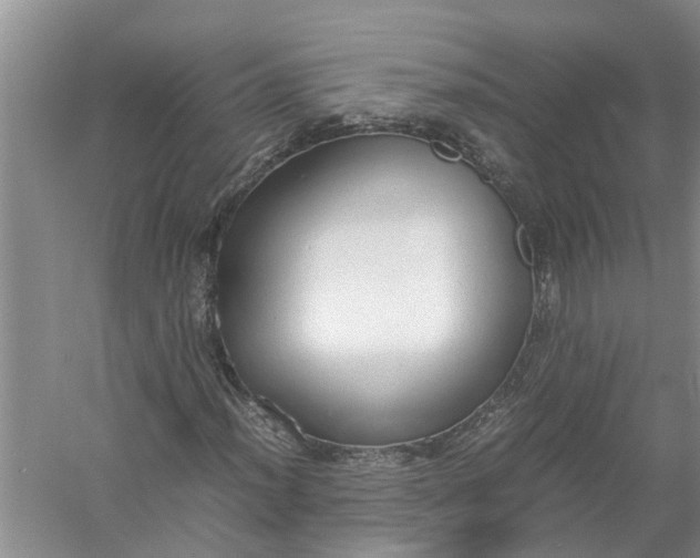 X0000058111012200510071907
