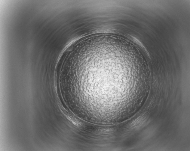 X0000058111035200510071908