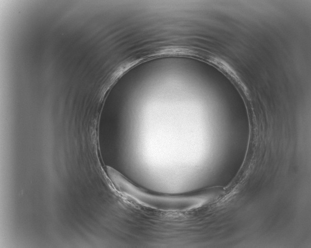 X0000058111049200510071908