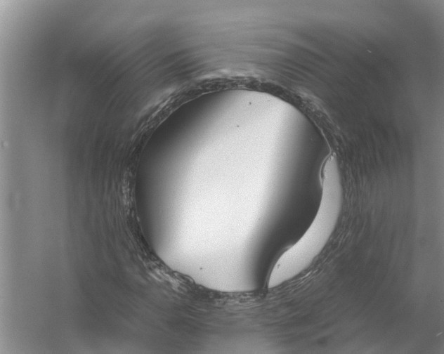 X0000058111110200510071906