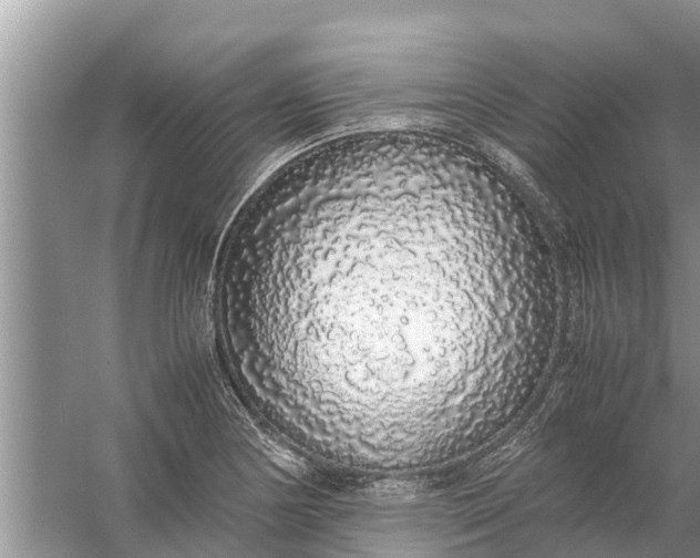 X0000058111178200510071905