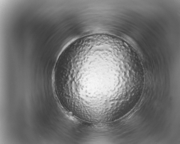 X0000058111198200510071905