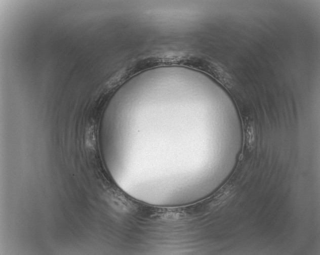X0000058111204200510071904