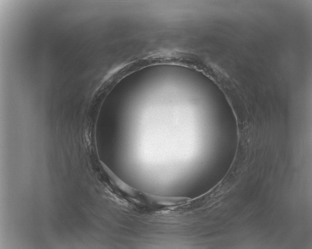 X0000058111206200510071904