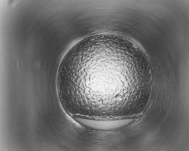 X0000058111247200510071905
