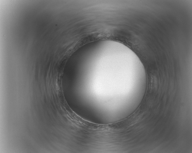 X0000058111250200510071904