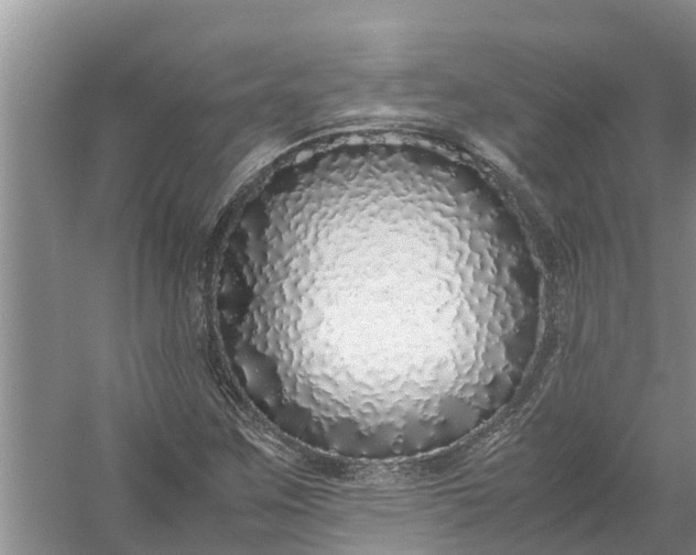 X0000058111259200510071904