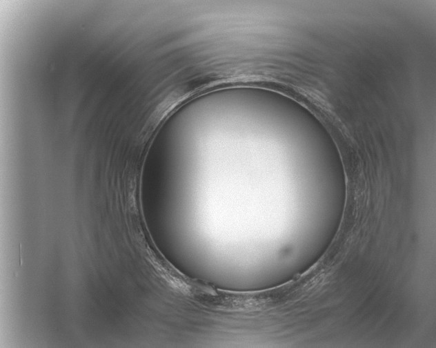 X0000058111273200510071903