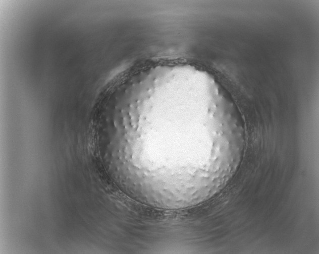 X0000058111350200510071902